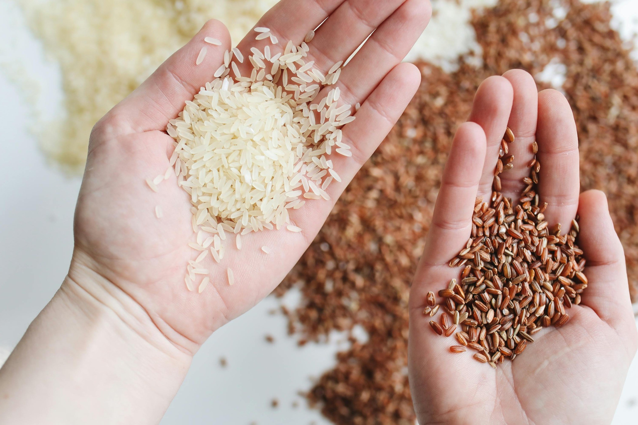 Harvesting Grains
